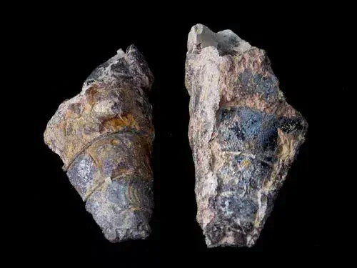 Achát - Dakhla, Maroko