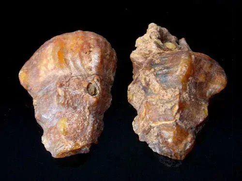 Achát - Dakhla, Maroko