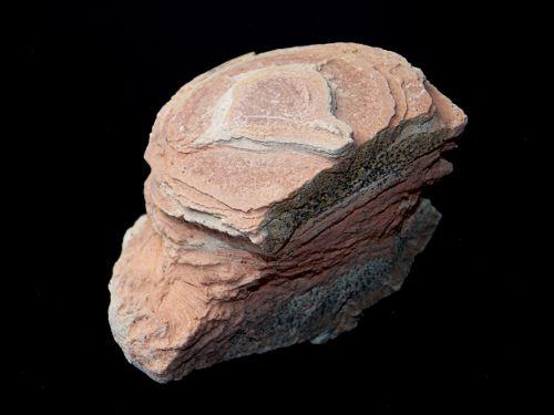 Kalcitová konkrece - Olomučany (Olomučanský koblížek)