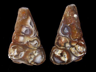 Achát - Dakhla, Maroko