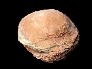 Kalcitová konkrece - Olomučany (Olomučanský koblížek)