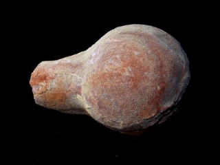 Kalcitová konkrece - Olomučany (Olomučanský koblížek)