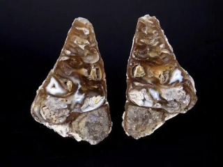 Achát - Dakhla, Maroko