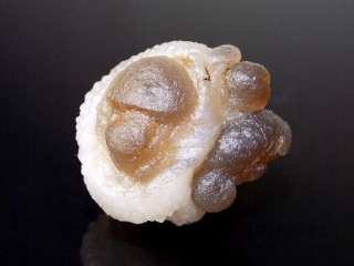 Chalcedon - Buu Craa, Laayoune - Sakia El Hamra, Maroko