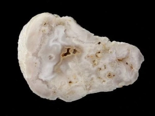 Rudická geoda - Rudice